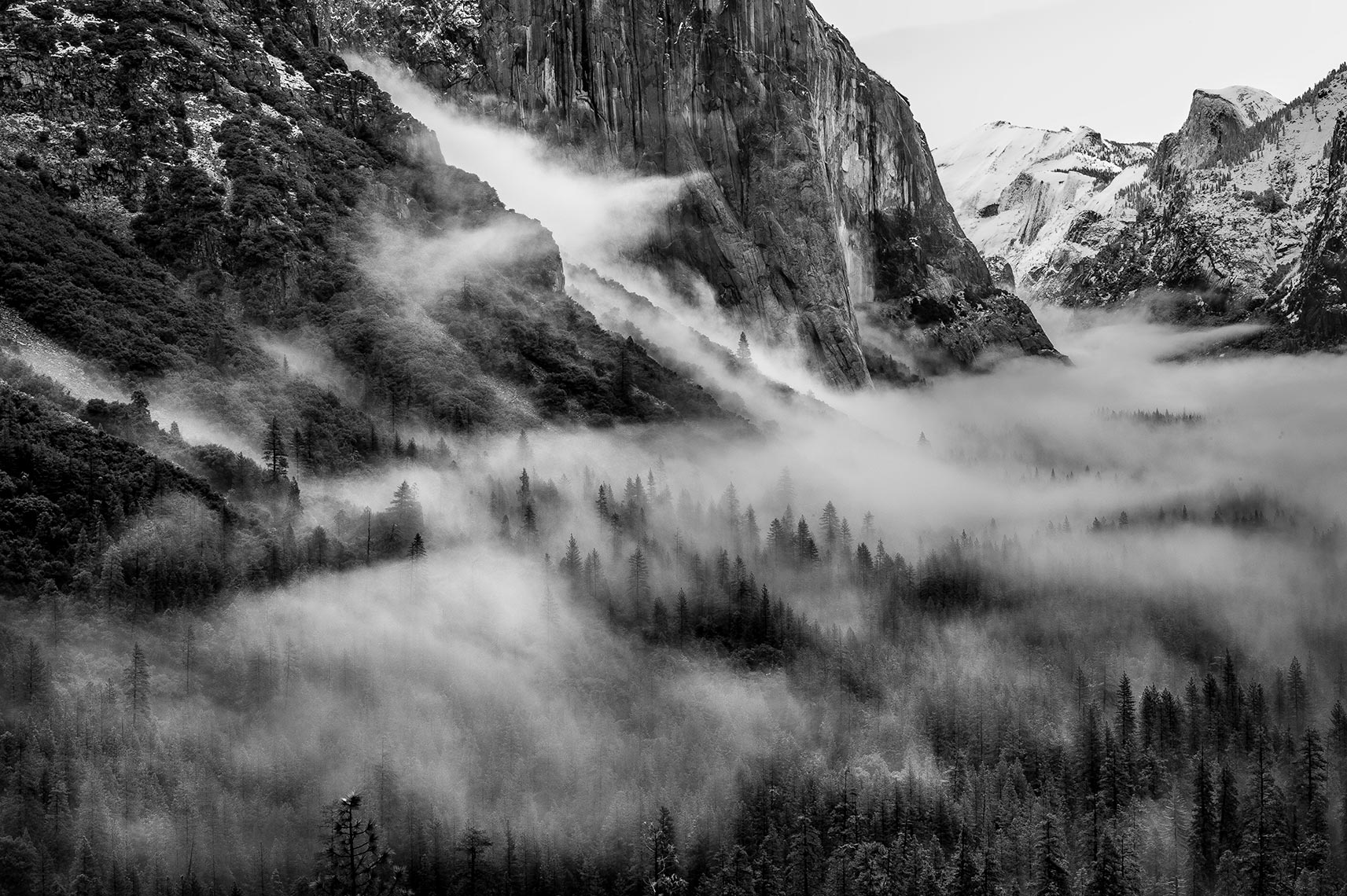Yosemite_Fog.jpg