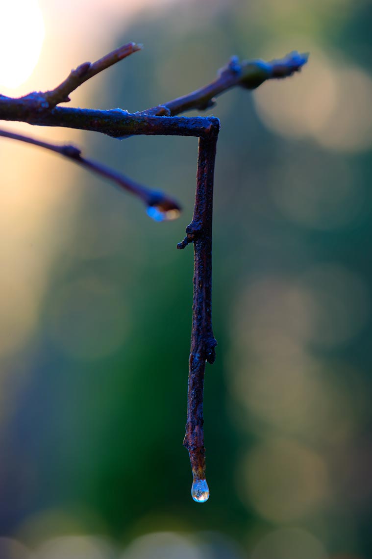 _DSC2369_70_71_72_73_74_75